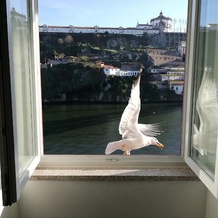 Red House By The River Apartment Porto Luaran gambar