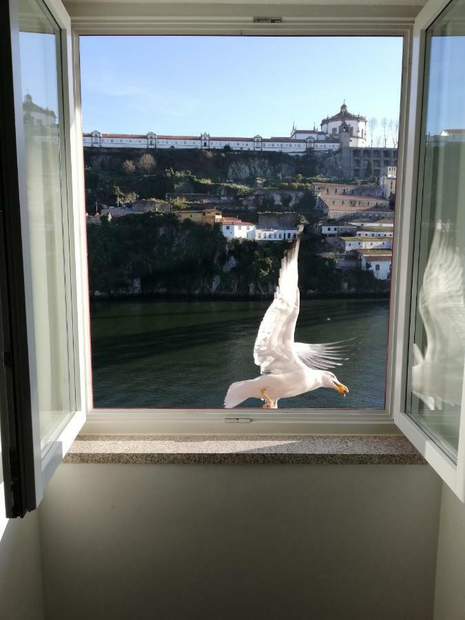 Red House By The River Apartment Porto Luaran gambar