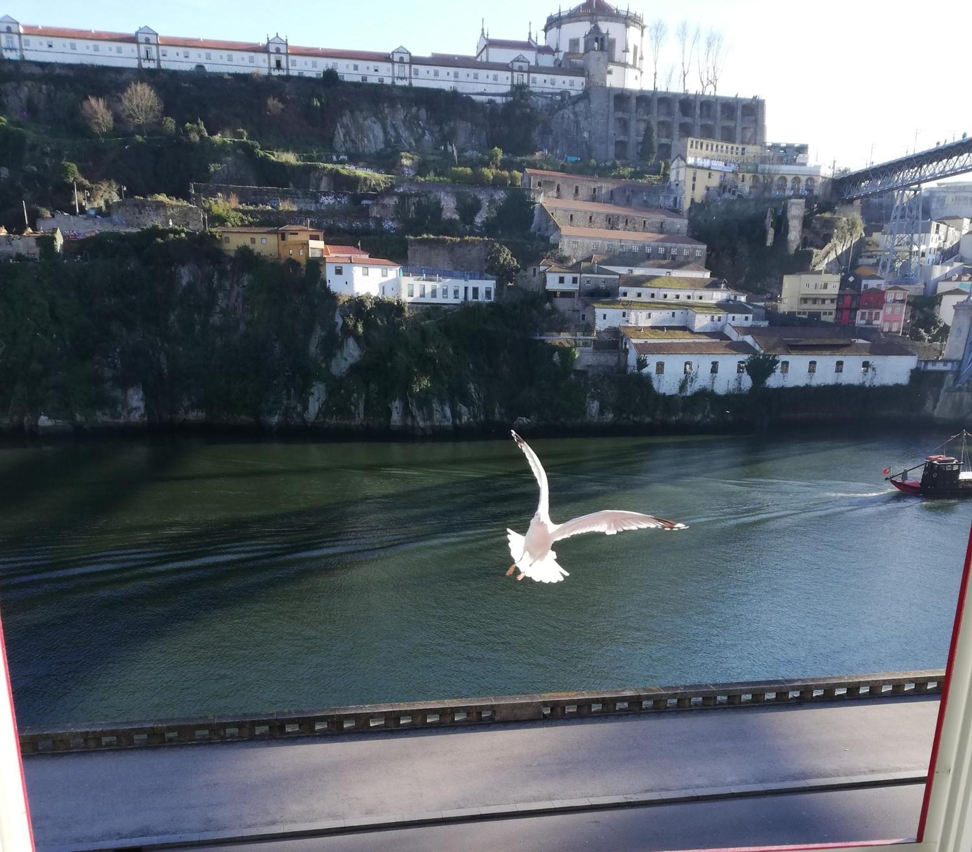 Red House By The River Apartment Porto Luaran gambar