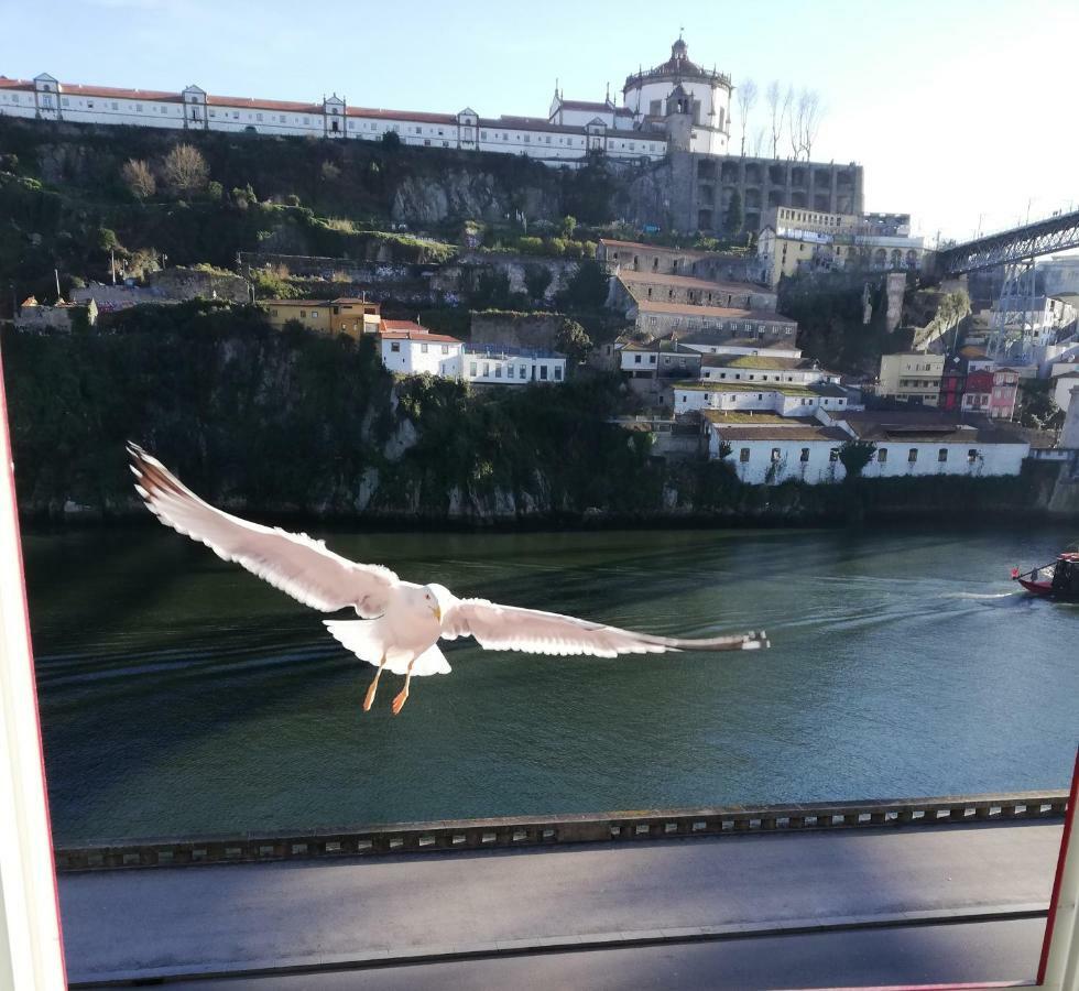 Red House By The River Apartment Porto Luaran gambar